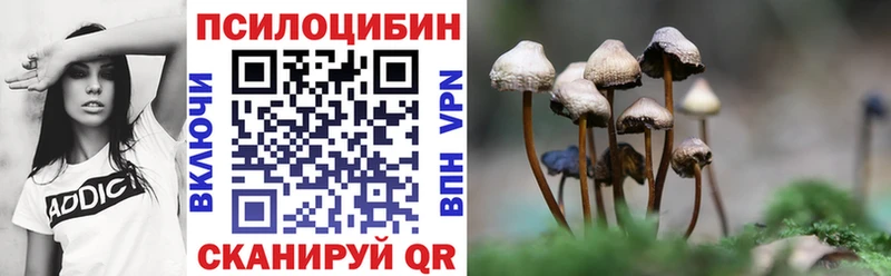 Купить закладки  Кашира  Псилоцибиновые грибы Cubensis 